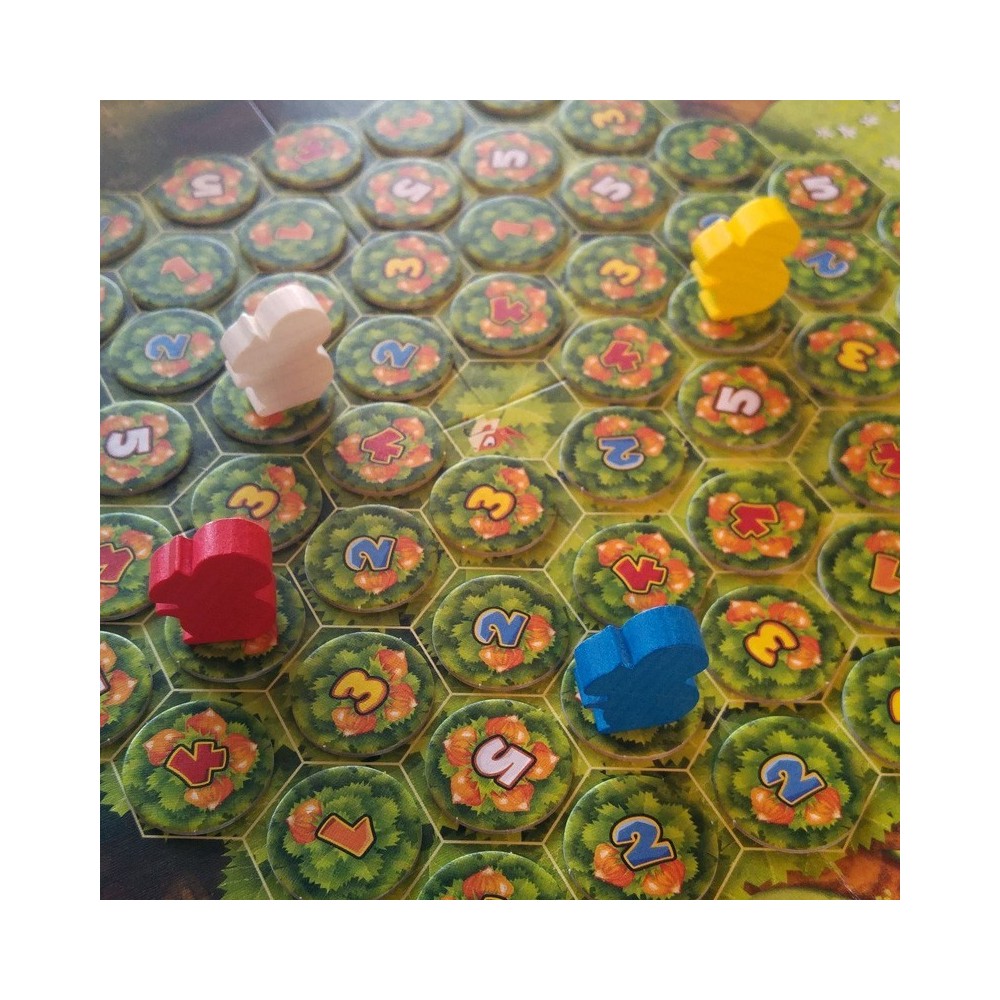 ARDILLAS VOLADORAS - Imagen 4